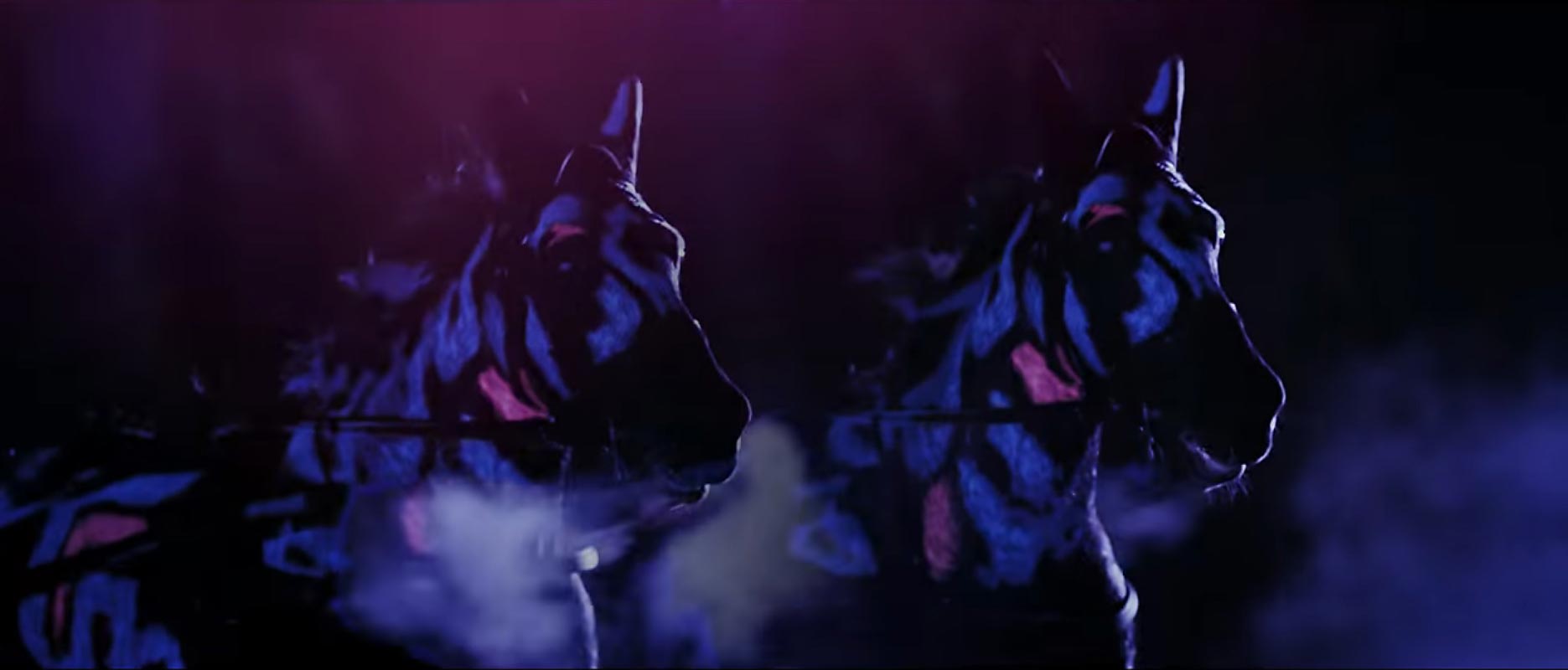 UV body painting on horses for TV commercial. Artist: Riina Laine